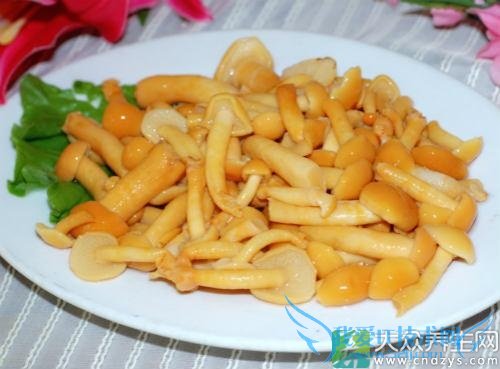  ��Ѫѹ�ܳԻ��ӹ���