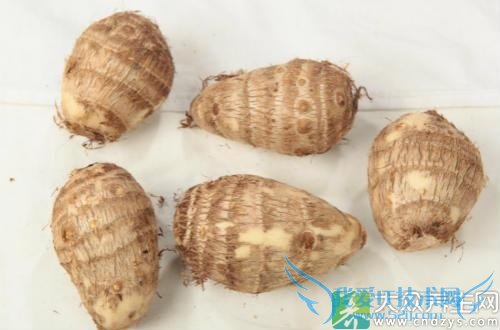 �����ܳ���ͷ��