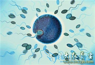 �����Բ�����Ϊ�������ӿ���