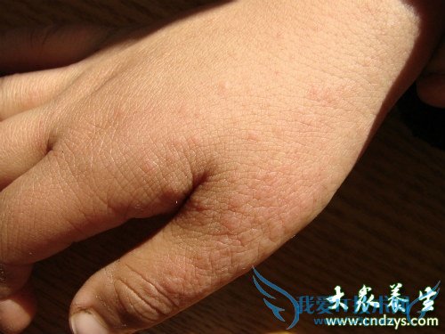 ��״������