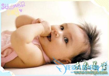 ����ǲ��ǻ�����С����̱��(1)