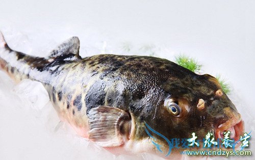 ��Ѫѹ�ܳԺ�����