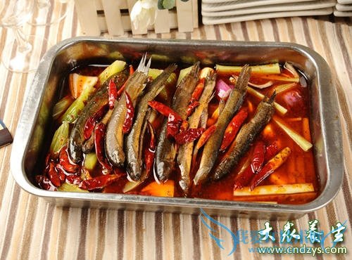 ����������й�����ǳ���Ҫ(2)