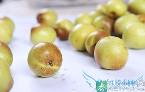 �����ܳԶ����� 