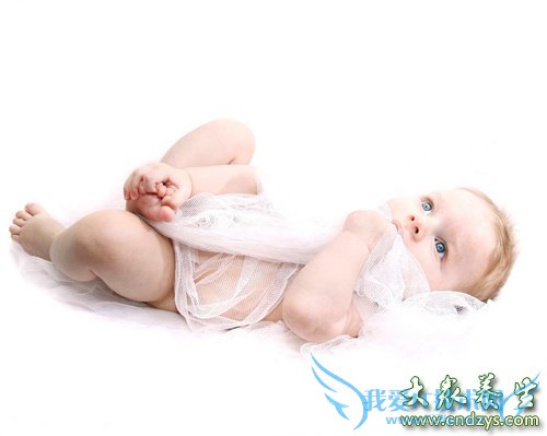 ����С����̱��ԭ��