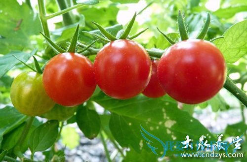 �������ڱ���ġ�������Ԫ��(1)