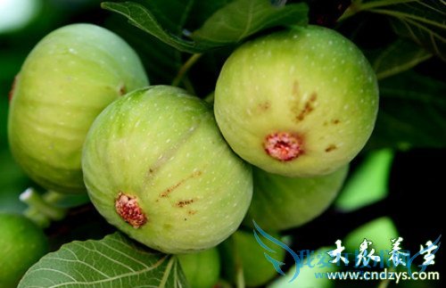 �и��ܳ��޻�����