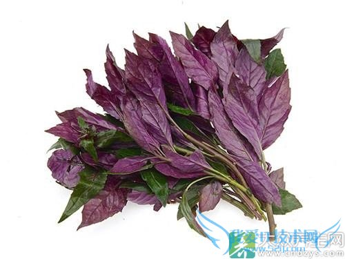 �����ܳ��ϱ������