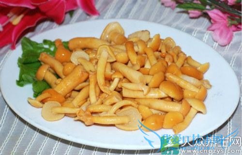 �����ܳԻ��ӹ���