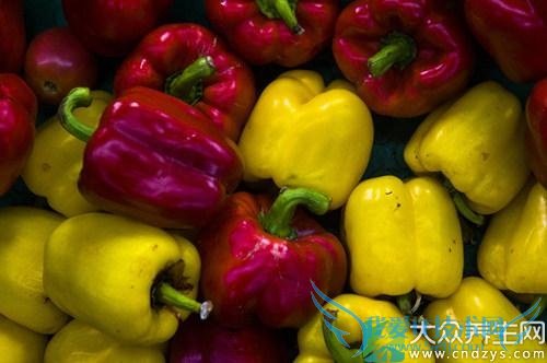 �����ܳ����ӽ���