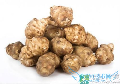 �������ܳ�����