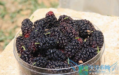 �������ܳ�ɣ������