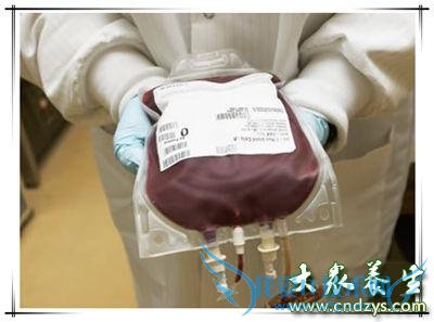 �������Ѫ���������Ѫ����Ҫ����(1)