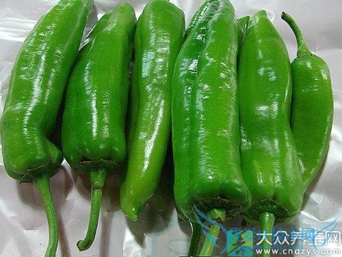 �����ٿ��Գ�������