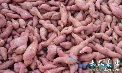 �����ܳԵع���