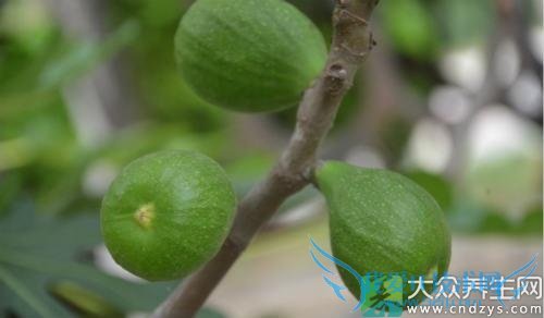 ��Ѫѹ�ܳ��޻�����