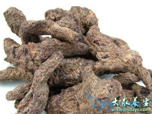 �и��ܳԵػ���