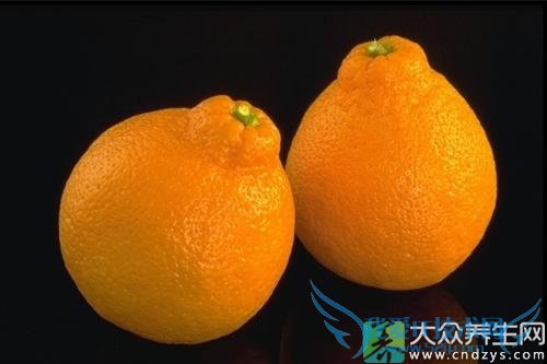 �����ܳԺ����� 