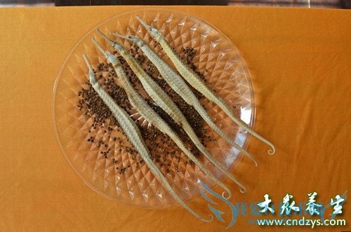 �и��ܳԺ�����