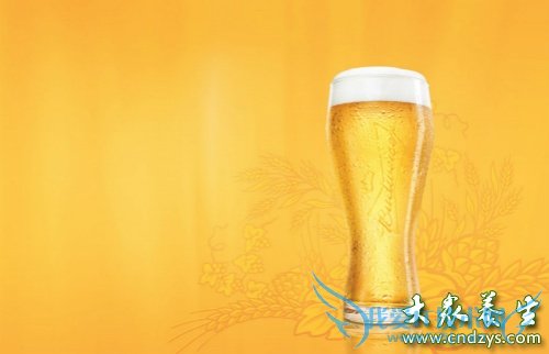 �����ܺ�ơ����