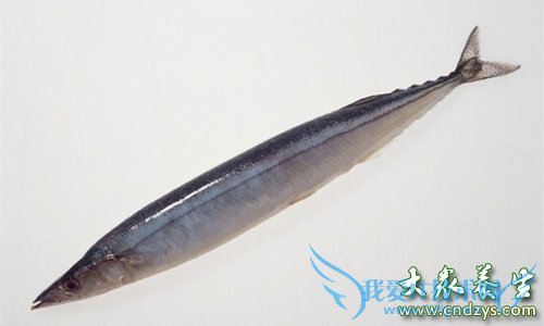 ��Ѫѹ�ܳ�������