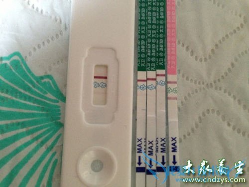 ���ܣ����⻳�е�����֢״(6)