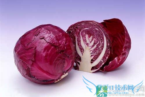 �и��ܳԸ����� 