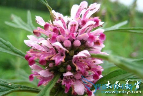 ���п��Ժ���ĸ����