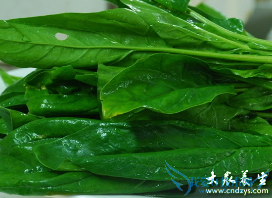 ����ǿ׳����20ʳ��(3)