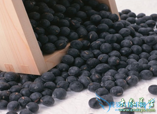 ����ǿ׳����20ʳ��(7)