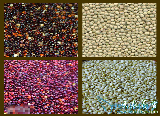 ����ǿ׳����20ʳ��(15)