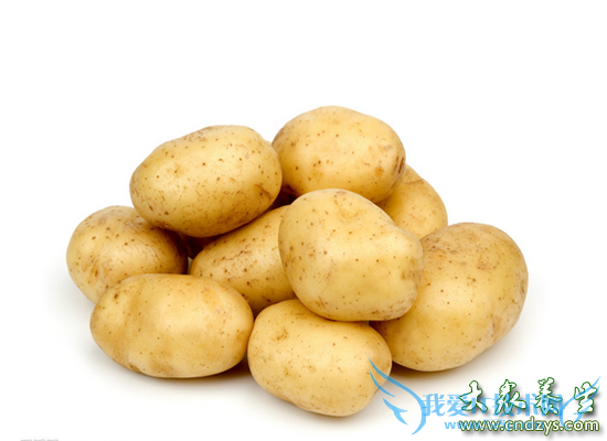 ����ǿ׳����20ʳ��(11)