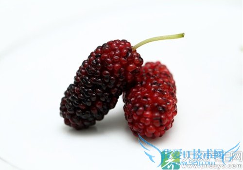 ��Ѫѹ�ܳ�ɣ������