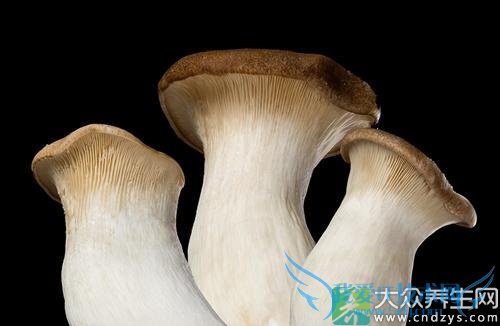 �����ܳ��ӱ�����