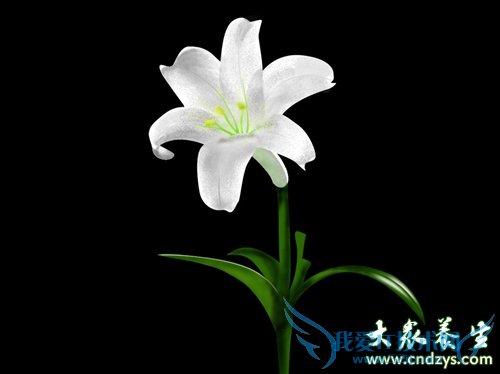 �����ܳ԰ٺ���