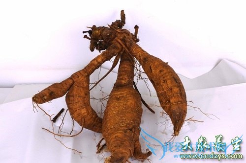 �����ܳԸ����