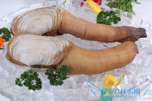 �и��ܳ���ΰ���