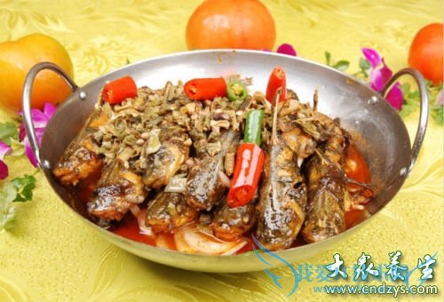 �и����ԳԻƹ�����