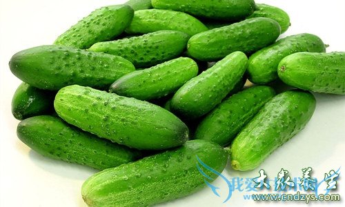 �������ܳԻƹ���