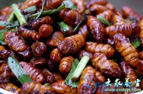 ���п��ԳԲ�Ӽ��