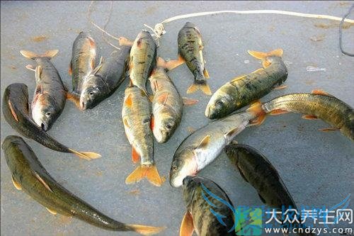 �����ܳ������� 