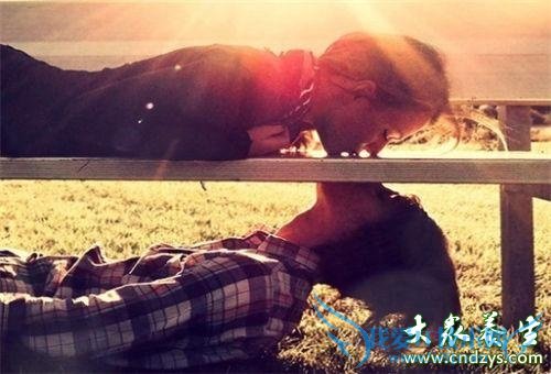 ���������ο�������������(5)