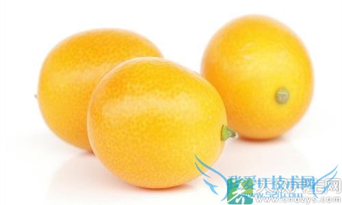 �������ܳԽ�����