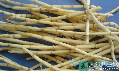 ��Ѫѹ�ܳ԰�é����