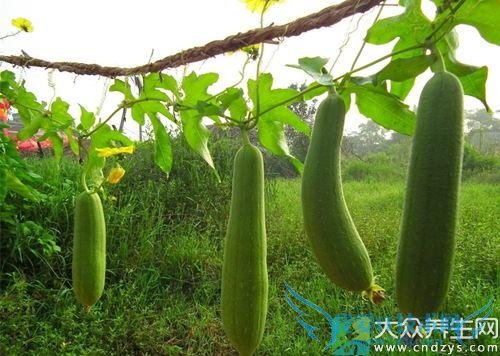 ������˿����ʲô�ô�