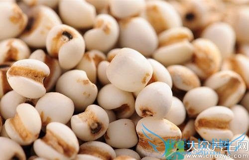 �������ܳ�޲����