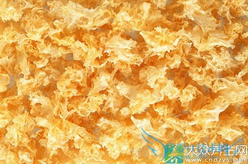 �����ܳ�������  