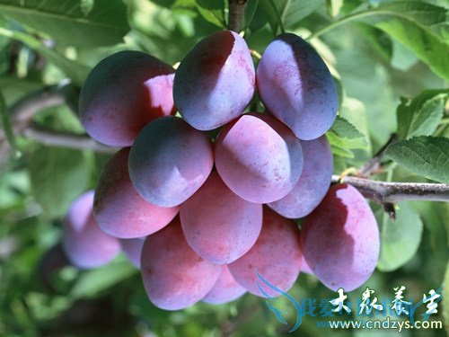 �����ú�������Ҳ�к�θ�� (4)