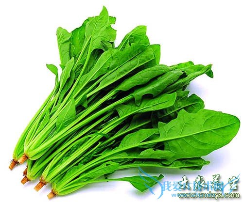 5��ʳ����׼�費��ƶѪ(1)