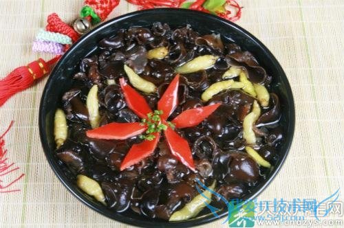 �и��ܳ��ƶ���